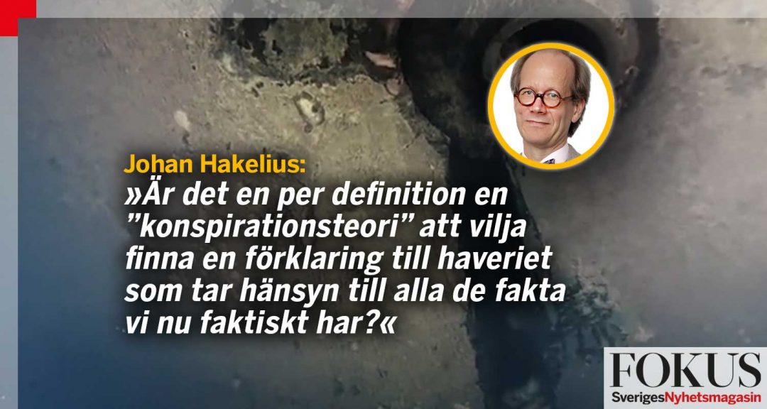 Hakelius Visst är det fint med tillit, men nu finns det ett hål i