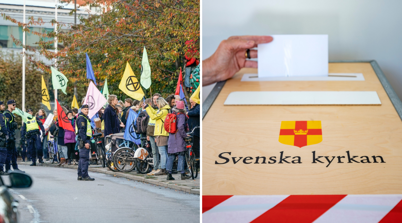 Lawen Redar: &amp;quot;Jag är beredd att göra vad fan som helst!&amp;quot; - Fokus