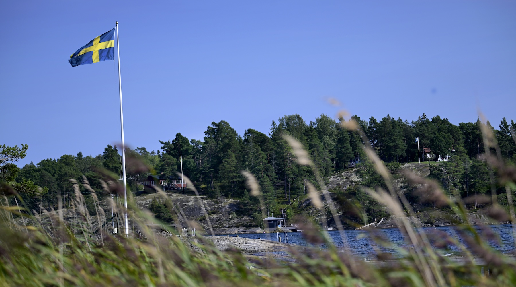 Foto: Förhandsbild från källan: Fokus.se