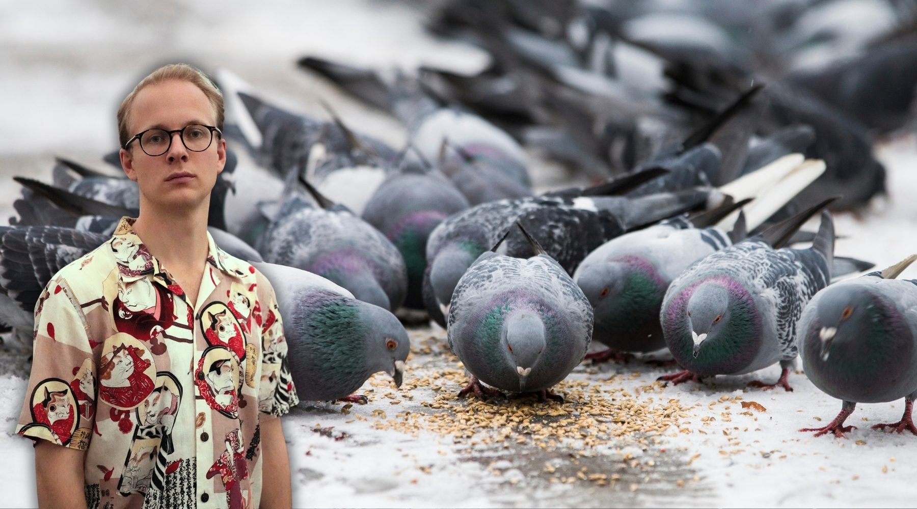 Foto: Förhandsbild från källan: Fokus.se