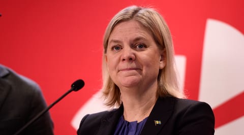 Magdalena Andersson, Socialdemokraterna