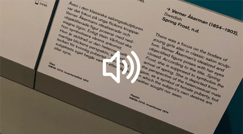Utdrag ur museums beskrivning